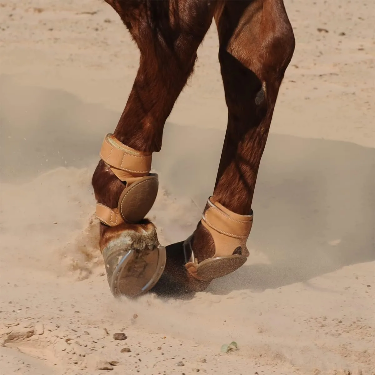 Classic Equine Boots Pro Reiner Skid Cowhide Leather Brown PRSB202
