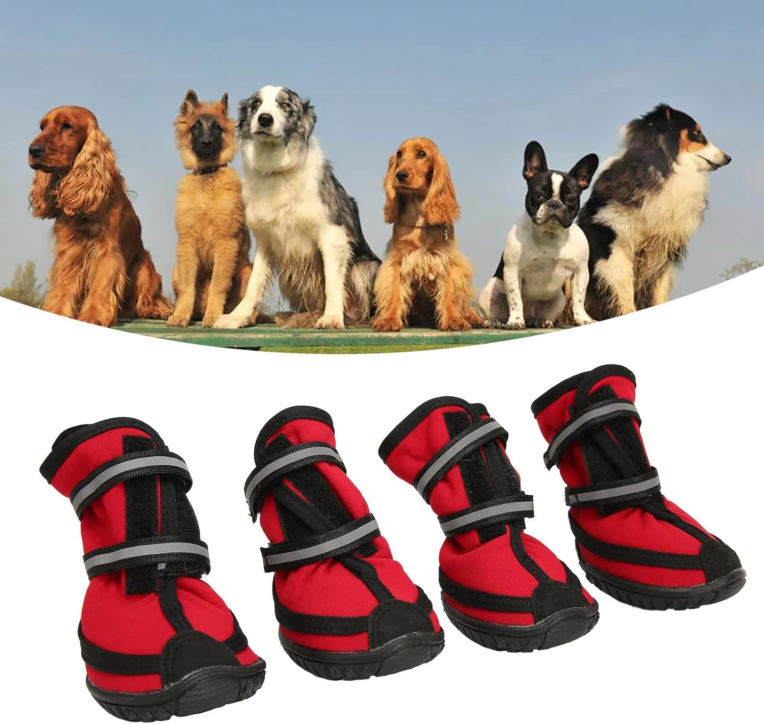 Dog Shoes, Water Resistant Anti Slip Dog Boots Protector with Reflective Strips for Rainy Day Winter Outdoor Hiking Traveling (M)