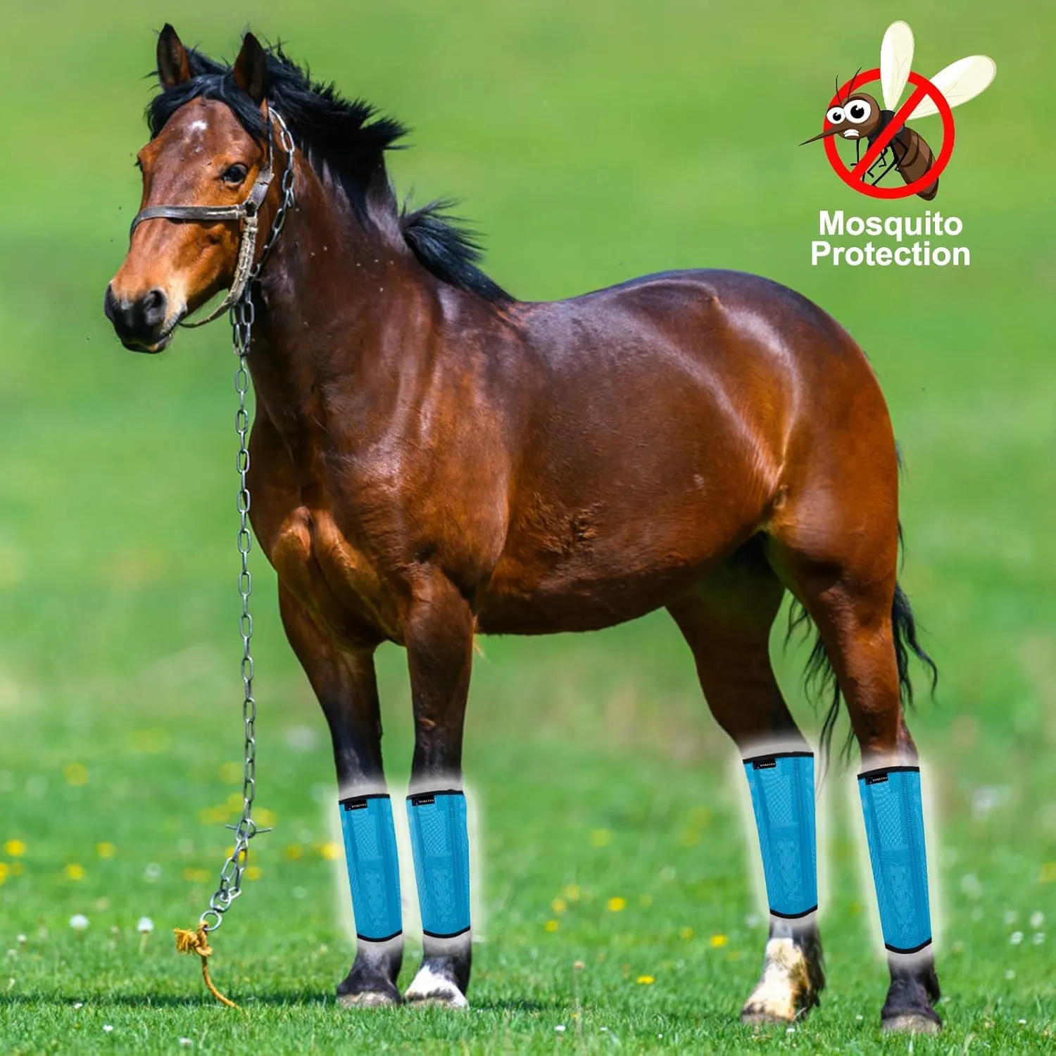 FOXLVDA Horse Fly Boots - Fly Boots for Horses Set of 4, Comfortable Pony Leggings, Mesh Material Design with Metal Support Bars, Equine Boots for Reduces Stomping & Leg Fatigue (Blue, Medium)