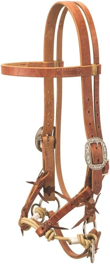 Justin Dunn Bitless Bridle