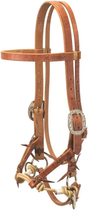 Justin Dunn Bitless Bridle