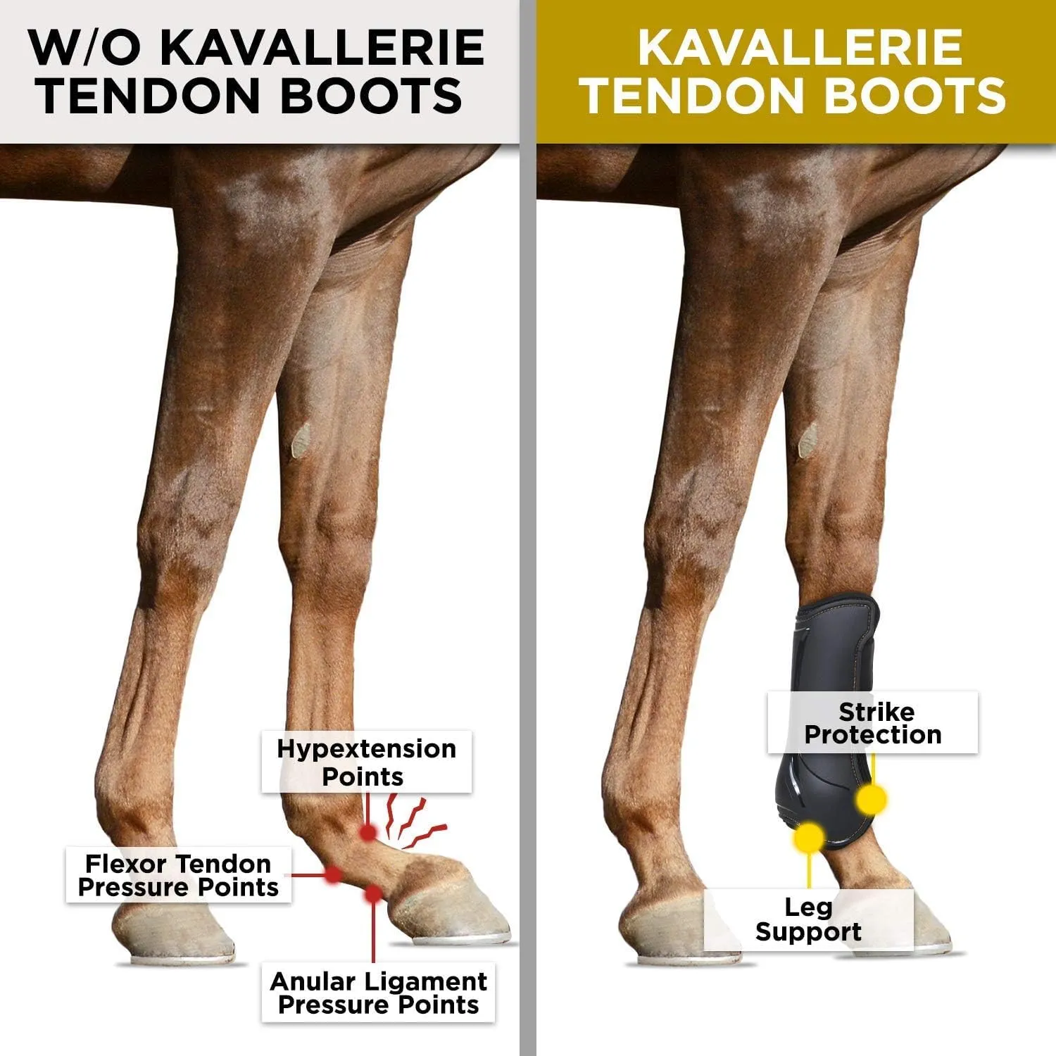 Kavallerie Classic Tendon Boots, Impact-Absorbing Material, Breathable & Evenly Distribute Pressure, Protect Tendon and Ligaments, Anti-Slip, Anti- Sore and Moisture Repellant Show Jumping Boots