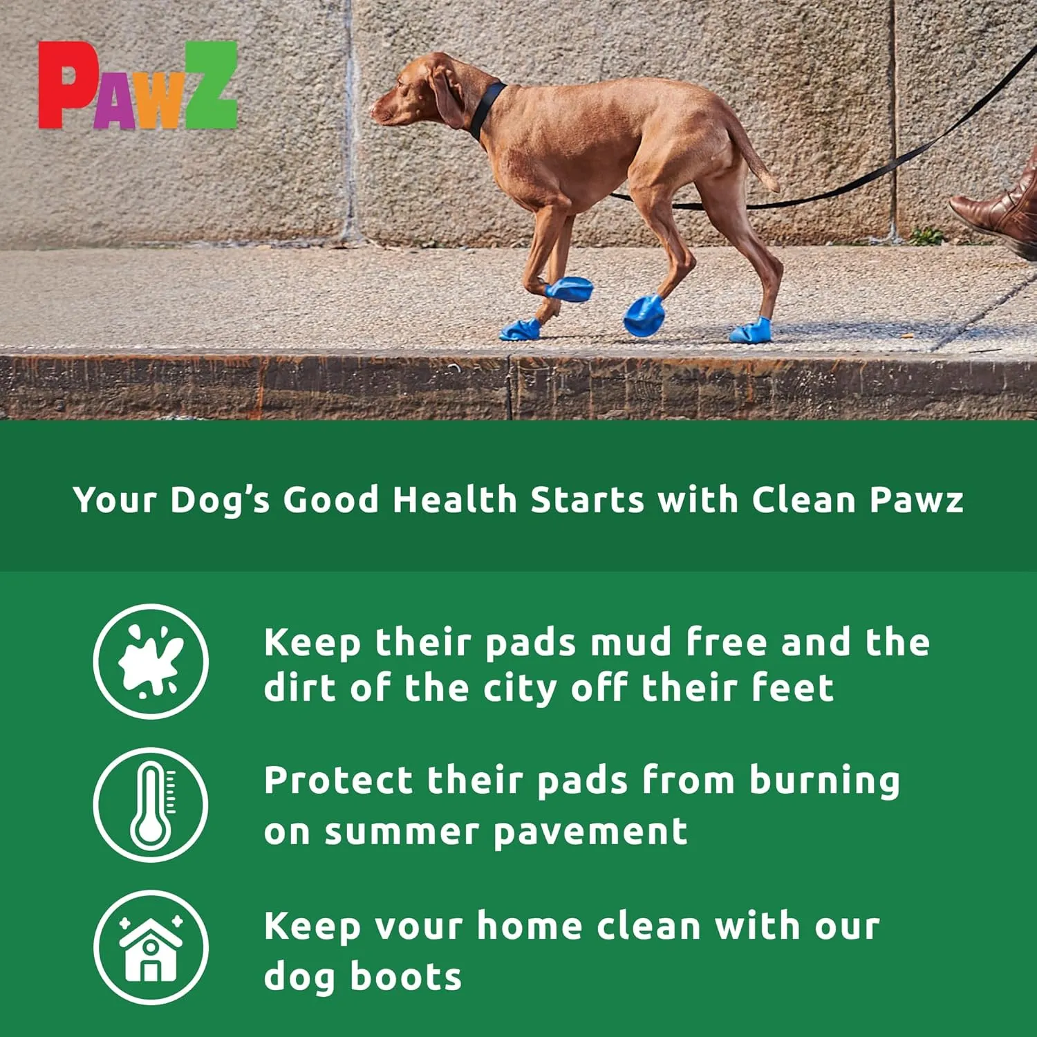 PawZ Rubber Dog Boots for Paws to 1" - All-Weather Dog Booties for Hot Pavement, Sand, Snow, Mud, and Rain - Anti Slip Dog Socks - Tiny, Green