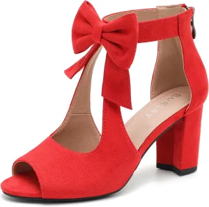 Women's Bows Strappy Sandals Open Toe Chunky High Heels Sandals Ankle Strap Dressy Pumps Back Zip Cutout Heeled Summer Party Sandals